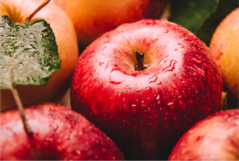 Manzana | Pampa Fruit