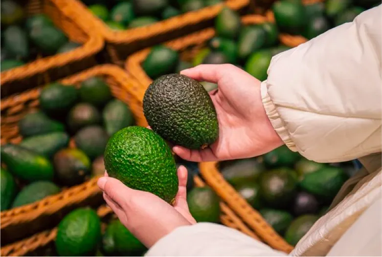 Palta | Pampa Fruit